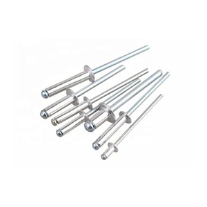China DIN7337 <span class=keywords><strong>de</strong></span> acero inoxidable 316/304 resistente al agua avellana remaches ciegos <span class=keywords><strong>de</strong></span> cabeza - Product Image 4