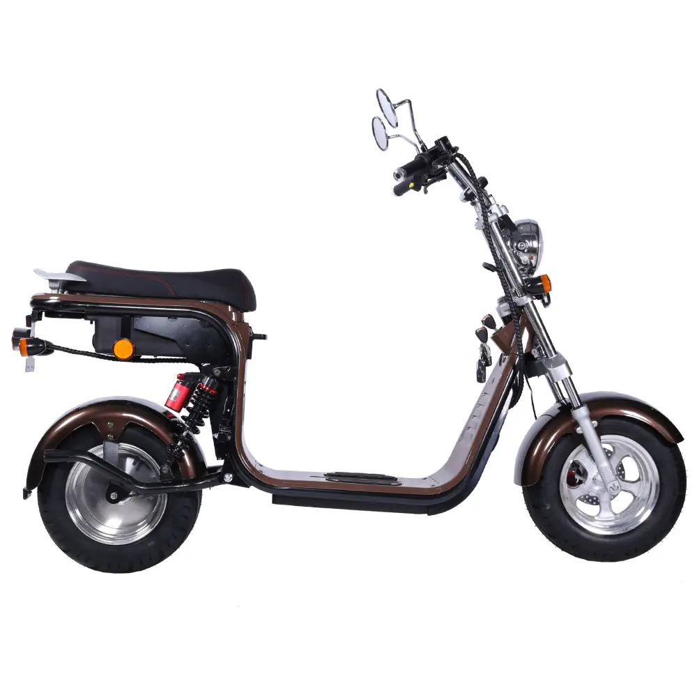 Livraison Gratuite Cyclomoteur Électrique Livraison Rapide à La Lituanie Citycoco Scooter CEE Adulte Moto Batterie Amovible 1500 W 20Ah