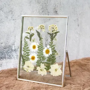 하이 퀄리티 DIY 표본 간단한 투명 유리에 마른 꽃 금속 사진 프레임 판매