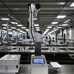 Robot collaboratif 30 kg pour palettisation, bras de cobot 6 axes, palettiseur de cartons, main robotique collaborative avec moteur PLC pour colis et sacs - Product Image 6