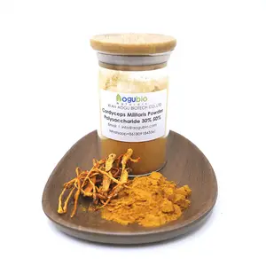 Aogubio fournir des champignons organiques 30% polysaccharide bêta glucane Cordyceps sinensis extrait