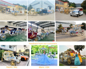 Carruaje Eléctrico Personalizable, Buggy de Lujo para Bodas, Estilo Inglés, Transporte Especial para Visitas Turísticas - Product Image 6