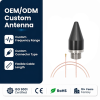 Antenne 4G LTE LoRa anti-explosion 868 MHz 915 MHz avec connecteur fileté, étanche IP67, montage sur armoire par vis pour applications industrielles personnalisées