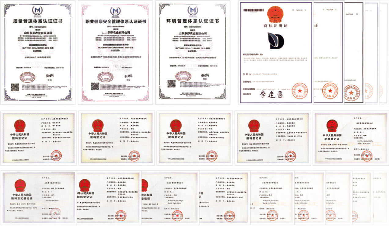 Wholesale Liquid Seaweed Calcium Magnesium Fertilizer image 6