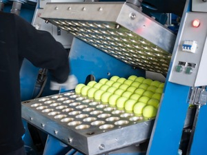 Balles <span class=keywords><strong>de</strong></span> <span class=keywords><strong>tennis</strong></span> sport personnalisées en gros Caoutchouc durable avec logo Pression moindre Entraînement <span class=keywords><strong>Balle</strong></span> <span class=keywords><strong>de</strong></span> <span class=keywords><strong>tennis</strong></span> en vente chaude - Product Image 2