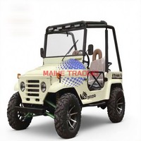 UTV électrique homologué pour la route, personnalisé, 4x4, COC EEC, 5 kW, véhicule utilitaire électrique, buggy quad UTV pour adultes