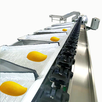 Oranje Macadamia Kiwi Kersen Fruit Groente PLC Gecontroleerde Fruitverwerkingsinstallatie Sorteermachine