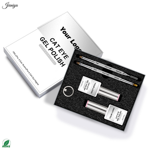 Juego de Esmalte de Uñas en Gel con Efecto Ojo de Gato, con 2 Pinceles de Doble Punta y 1 Bolígrafo Magnético para Uso Profesional, OEM ODM - Product Image 3