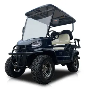 golf carts electric 2 seater small cheap electric 4 seater golf carts