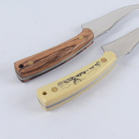 Couteau à lame fixe en acier inoxydable 420, couteau de survie de chasse portable avec gaine en nylon, offre spéciale