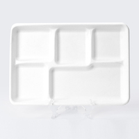 Assiettes carrées de bagasse de canne à sucre jetables, écologiques et personnalisables, de haute qualité, de couleur personnalisée