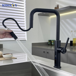 2025 New arrivals phong cách hiện đại <span class=keywords><strong>LED</strong></span> hiển thị kỹ thuật số cổ dài 1 lỗ vòi nước nhà bếp với kéo xuống phun cho bồn rửa 1 xử lý - Product Image 2