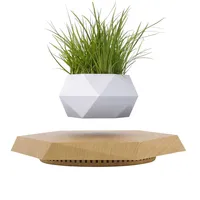 Maceta flotante artificial para plantas, taza de bonsái de levitación magnética, regalos personalizados, enamórate de los regalos decorativos minimalistas
