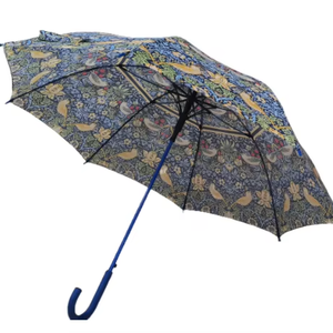 Parapluie soleil coupe-vent bâton parapluies pour <span class=keywords><strong>pluie</strong></span> enfant en bas âge filles garçons - Product Image 2