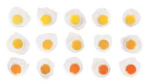 Tuổi thọ hoa cúc chiết xuất Lutein <span class=keywords><strong>4</strong></span>% nồng độ cao xanthophyll thức ăn phụ gia cho tăng cường sức khỏe động vật - Product Image 3