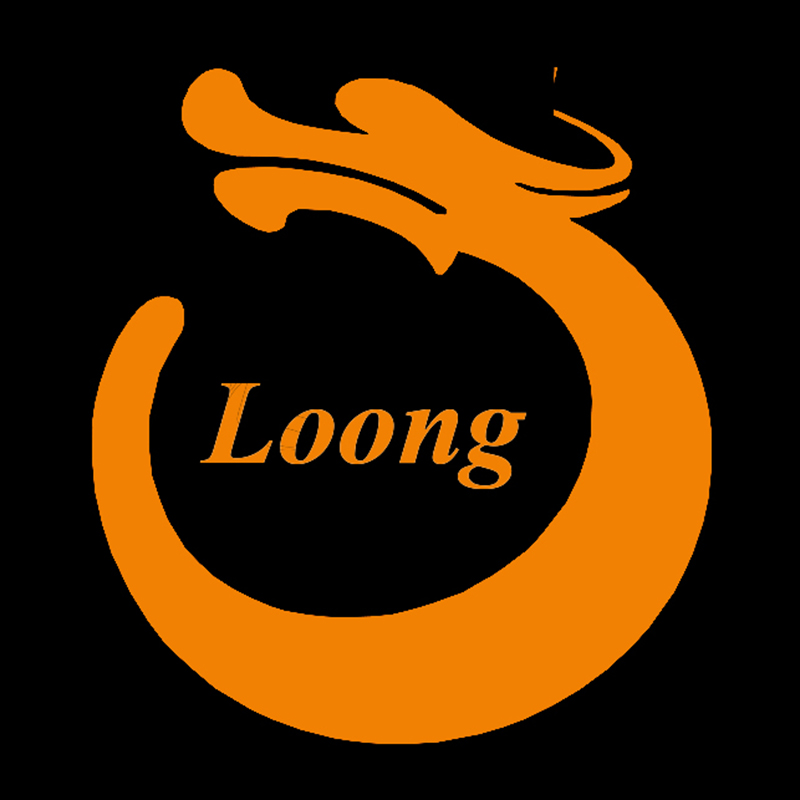 Guangzhou Zhenloong Information Technology Co., Ltd. logo