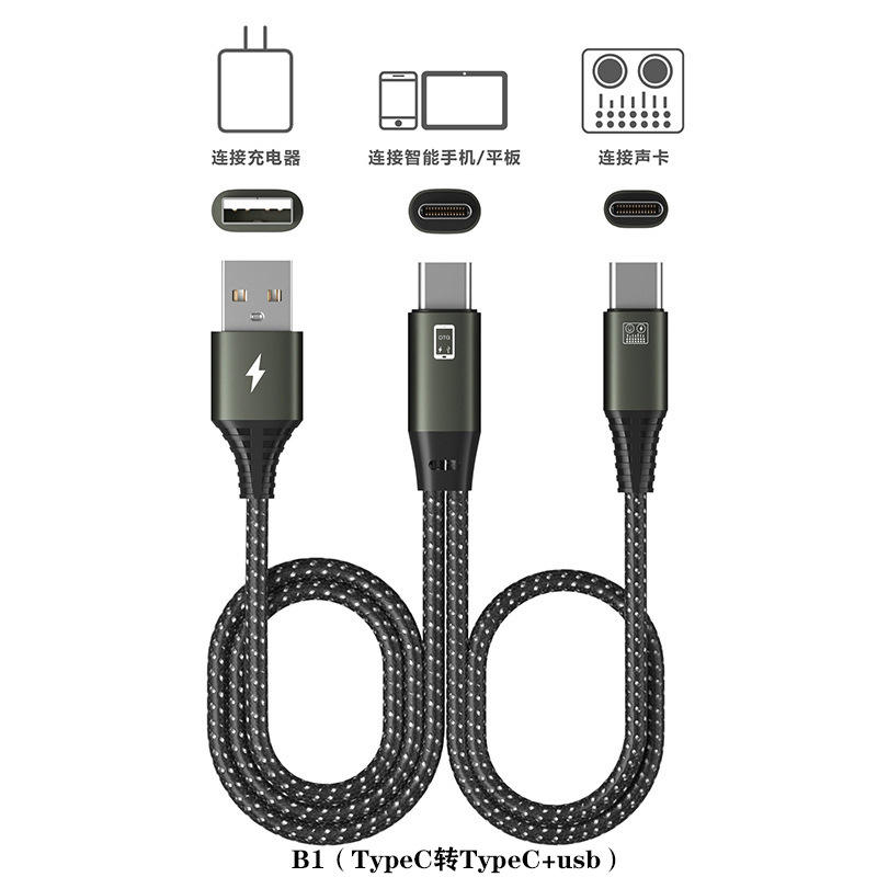 B2 (Type C to Type C+usb)