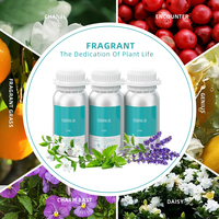 Huile de parfum de marque pure faisant de l'huile essentielle de diffuseur en gros nouveau pour les diffuseurs
