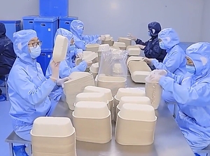 Đĩa giấy dùng một lần sinh học phân hủy được làm từ bã mía thân thiện với môi trường, in theo yêu cầu, kích thước 6, 9, 10, 12 inch - Product Image 4