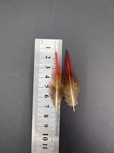 50 pièces/sac naturel coloré sauvage poulet <span class=keywords><strong>plume</strong></span> <span class=keywords><strong>or</strong></span> faisan plumes pour bricolage vêtement artisanat accessoires largeur 5-30 cm - Product Image 6