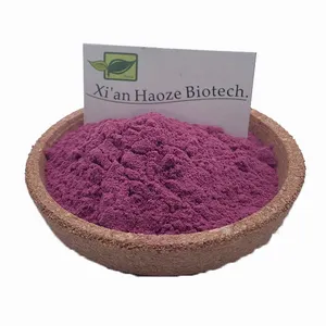 Bulk aronia chokeberry pó orgânico aronia berry pó aronia extrato