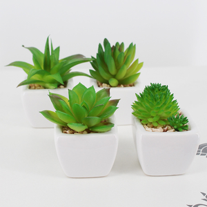 Plantas tropicales de tacto Real de imitación para interiores, conjunto de flores de plástico, plantas suculentas artificiales - Product Image 2