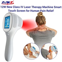 Appareil de thérapie laser portable de classe 4 à double usage (humain et vétérinaire) pour le soulagement de la douleur chez les chiens et les chevaux, et le traitement des mains et des chevilles enflées