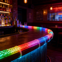 Vente flash : Kit de 5 m de néons LED multicolores adressables, tissés à 360 degrés, pour décorations décoratives IP67 pour 5V, décorations adressables