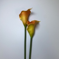 Künstliche Blumen YM Fabrikpreis Tischdekoration Großformatige Calla-Lilie PU Realistische Calla-Lilie