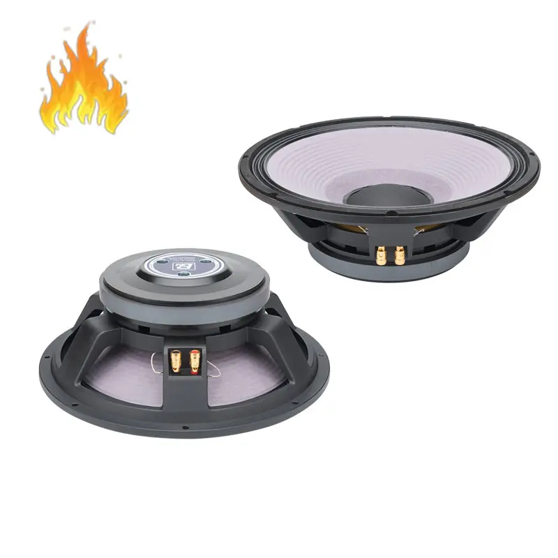 BL1522226H 220 mm ferrit mıknatıs woofer sürücüsü sahne kulübü için müzik ekipmanları KTV