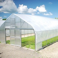 Serre monocouche en film PE, anti-goutte et anti-buée, avec structure en acier galvanisé à chaud, taille personnalisable, durée de vie 10-15 ans