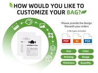 Sac à fermeture éclair givré avec logo imprimé personnalisé Sac d'emballage en plastique transparent pour vêtements Sacs à fermeture éclair biodégradables pour vêtements