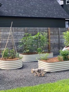 <span class=keywords><strong>Kit</strong></span> de grand lit de jardin en métal Land Guard Boîtes à fleurs galvanisées émaillées Légumes d'extérieur Lit de jardin surélevé ovale de style campagnard - Product Image 2