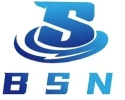 Suzhou Bsn Motor Technology Co., Ltd. logo