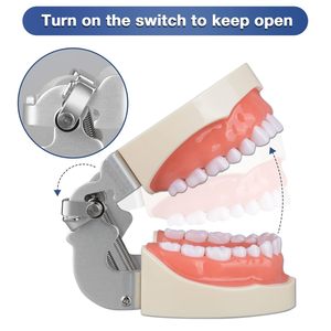 Modèle de dents Typodont multifonctionnel avec 32 dents détachables réutilisables pour les étudiants en hygiène dentaire, comprend un petit tournevis - Product Image 4