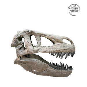 Museo Exposición Tamaño real Esqueleto de dinosaurio artificial Simulación al aire libre Esqueleto de <span class=keywords><strong>dinosaurios</strong></span> - Product Image 4