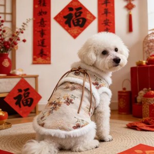 Traje Tang de estilo chino para mascotas, abrigo rojo acolchado de algodón para Bichon Frise, traje de invierno, otoño y Año Nuevo - Product Image 3