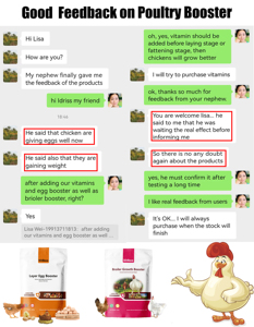 Suplemento para Promover la Producción de Huevos en Gallinas, Patos y Gansos - Product Image 5