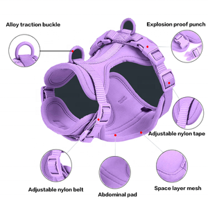 Grosir kalung hewan peliharaan dapat disesuaikan tahan air Set kalung anjing mewah kalung Anjing khusus <span class=keywords><strong>harness</strong></span> anjing - Product Image 3