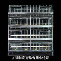 Nouvelle cage à poulets galvanisée de type H pour petits poussins et poulets de chair avec système d'abreuvement automatique