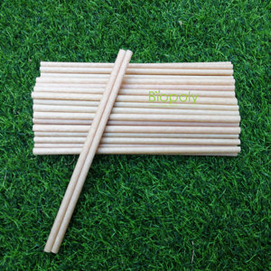 Bán Buôn Nhà Máy Lớn Tầm Cỡ Phân Hủy Nhựa Uống Ống Hút Làm Pla Cho Các Bên Nhà Hàng Mía Sợi Cho Đồ Uống - Product Image 5