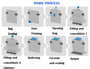 Machine d'emballage sous vide commerciale multifonction automatique pour <span class=keywords><strong>thon</strong></span> aseptique, conserve le <span class=keywords><strong>thon</strong></span> à cornichons - Product Image 5