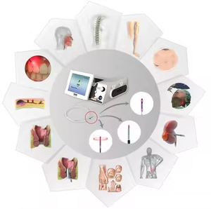 Chine Fabricant Portable Diode Laser 1470nm 980nm Dispositif de traitement des hémorroïdes CE Approuvé Hémorroïdes de fistule anale - Product Image 5