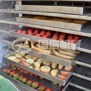 Équipement de lyophilisation sous vide professionnel directement de l'usine pour le séchage des oranges, des oranges navels et des oranges valenciennes - Product Image 6