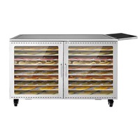 Mobiele zonne- en elektrische voedseldroger met 10 grote gaasplaten, droogmachine voor granen, specerijen, fruit en groenten.