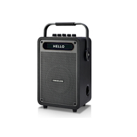Hi-Fi Metal Gitar Amfisi 100W, Enstrüman Girişi ve Kulaklık Monitörü ile