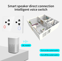 Interruptor táctil ordinario inteligente estándar de EE. UU. 15A enchufes gemelos pared de vidrio templado de cristal eléctrico 100V-240V hogar Zigbee IP66