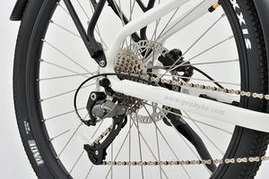 Bicicleta Eléctrica Central Motor 2025 con <span class=keywords><strong>Desviador</strong></span>, Frenos de Disco, Cuadro de Aluminio, 25 km/h, Carga de Litio para Uso Urbano - Product Image 5