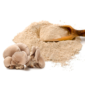 Chất lượng cao <span class=keywords><strong>Oyster</strong></span> nấm hạt giống tinh khiết tự nhiên <span class=keywords><strong>Oyster</strong></span> nấm <span class=keywords><strong>Mushroom</strong></span> extract với giá bán buôn - Product Image 3