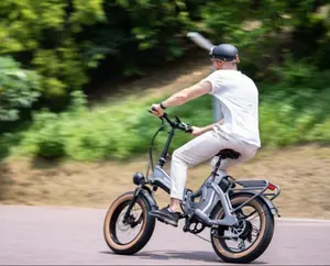 للبيع بالجملة ، سكوتر كهربائي كهربائي 14 بوصة ، إطار دراجة كهربائية لتحويل الدهون ، نطاق KiLong - Product Image 1